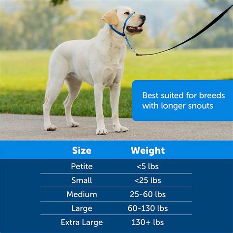 petsafe gentle leader size chart.